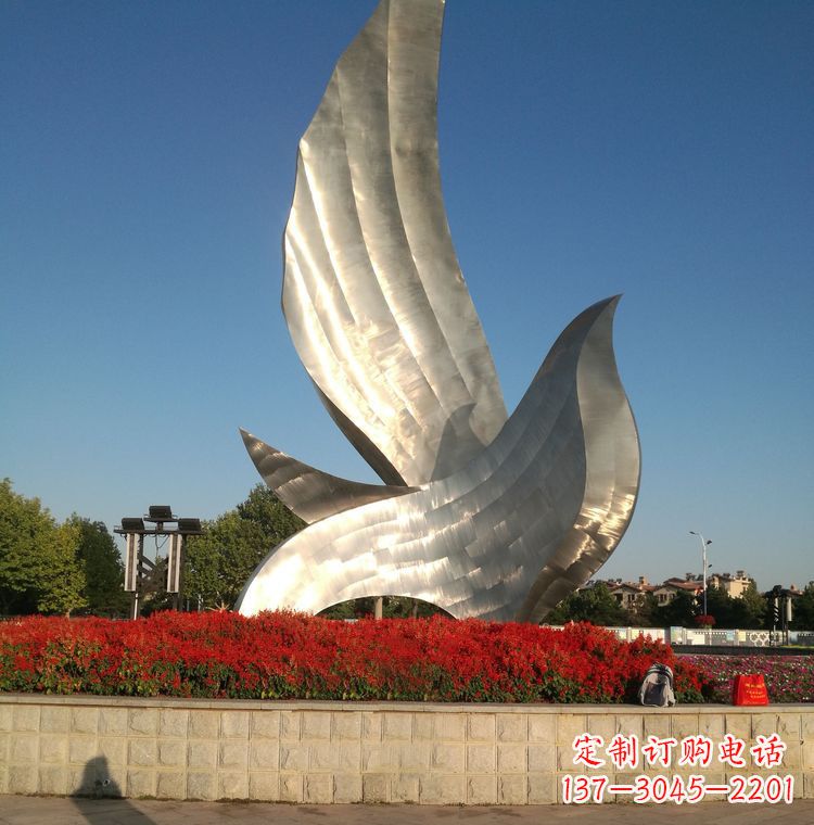 辽阳“鸽子之恋”——让爱飞翔