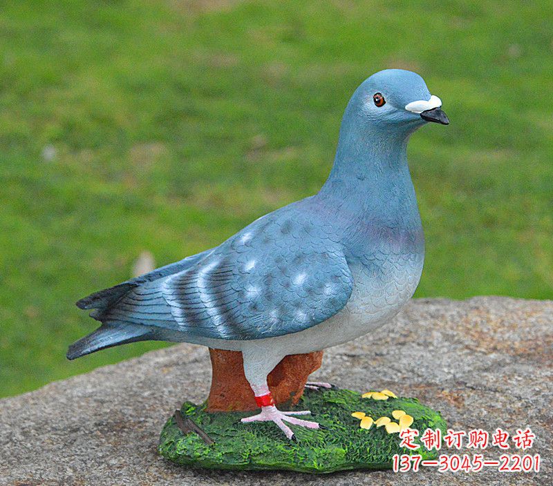 辽阳和平鸽传承着永恒的爱