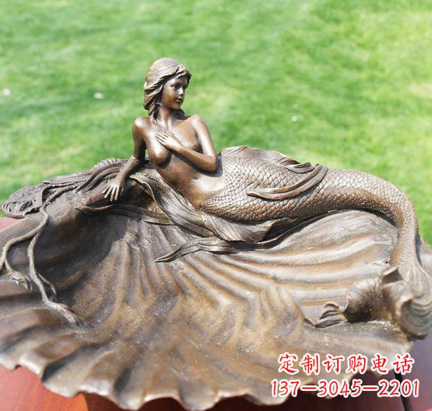 辽阳新颖贝壳美丽的艺术之旅
