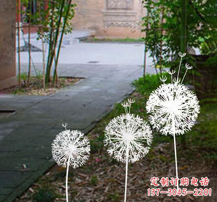 辽阳不锈钢蒲公英点亮城市之美
