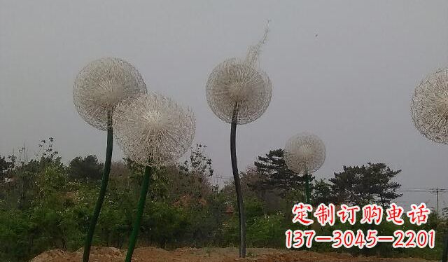 辽阳蒲公英的绚丽多彩
