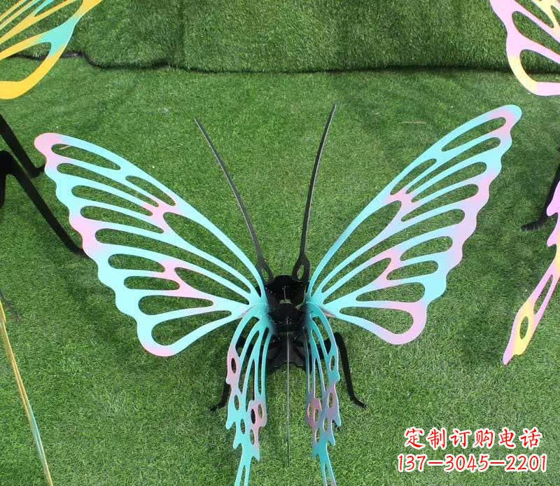 辽阳彩色不锈钢镂空蝴蝶雕塑精美又充满生机
