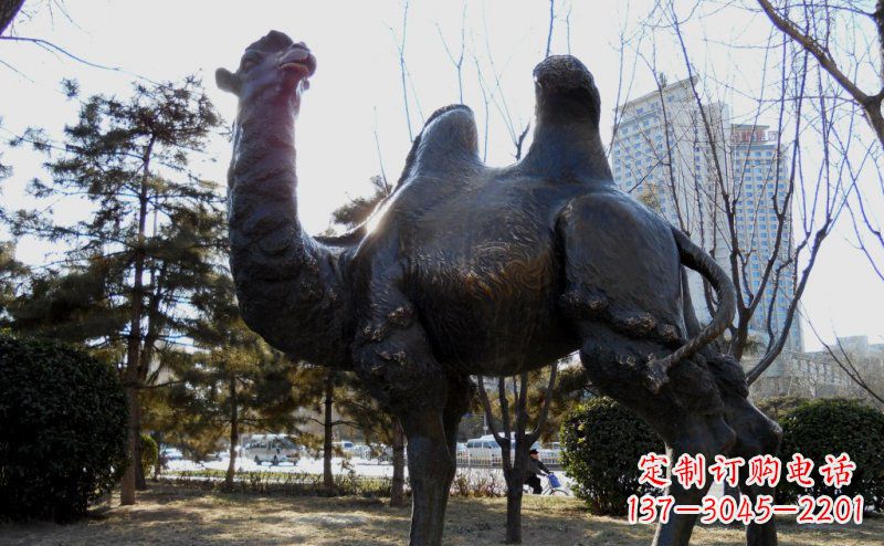 辽阳公园骆驼动物铜雕 (5)