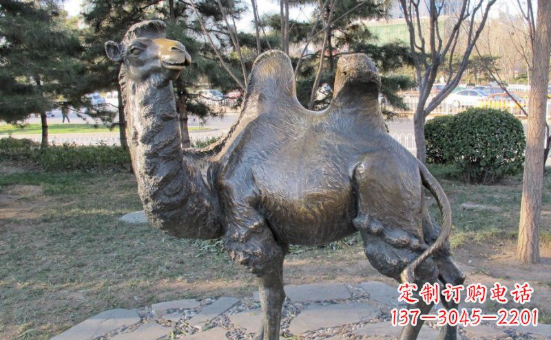 辽阳公园骆驼动物铜雕 (4)