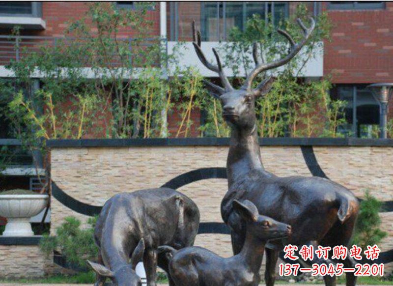 辽阳古雅优雅的梅花鹿铜雕