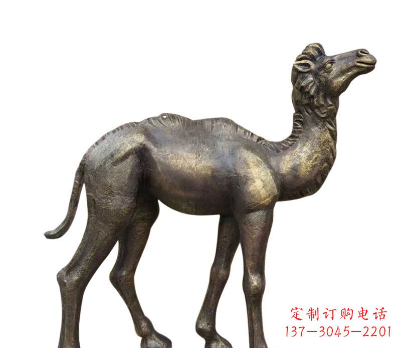 辽阳奇美洁净的骆驼铜雕