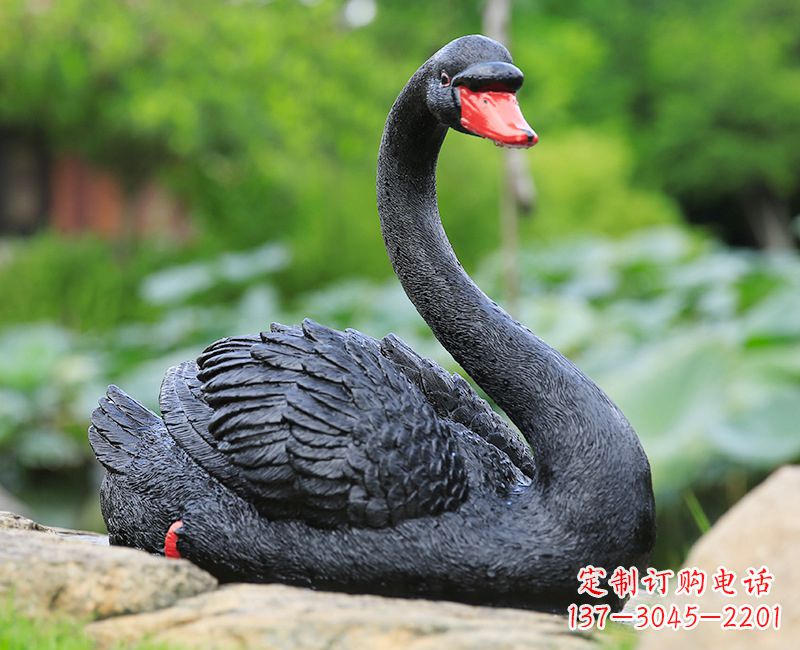 辽阳精致高端的黑色天鹅雕塑