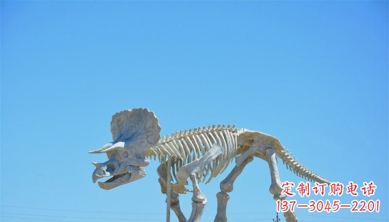 辽阳景区玻璃钢恐龙化石