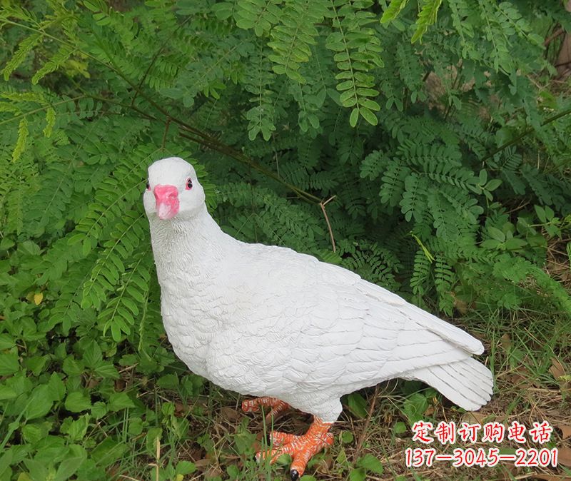 辽阳灵鸽雕塑鸽子呢