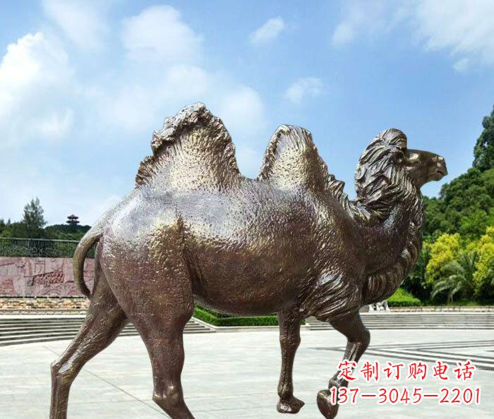 辽阳欣赏骆驼美感,购买骆驼铜雕