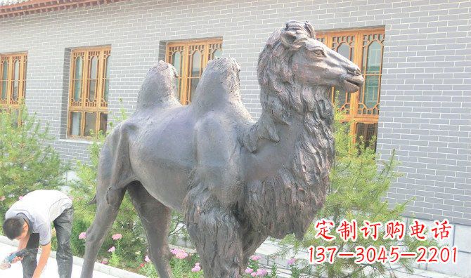 辽阳精美的骆驼铜雕,提升您的公园气质