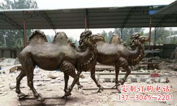辽阳典雅优美的骆驼铜雕