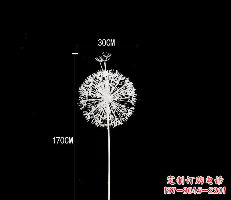 辽阳美观耐用的不锈钢蒲公英雕塑