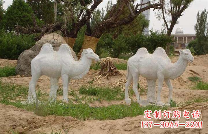 辽阳石雕骆驼公园动物雕塑