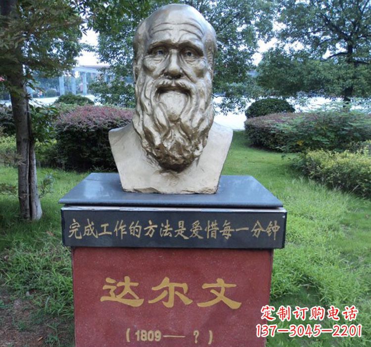 辽阳铜雕达尔文头像雕塑