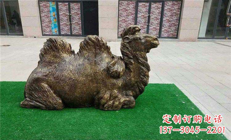 辽阳卧着的骆驼动物铜雕