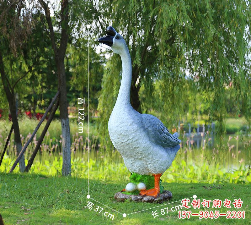 辽阳站立的灰色天鹅